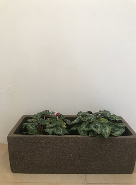 特大号长方形紫砂花盆粗陶荷花睡莲池陶瓷罐大口径水培盆景盆