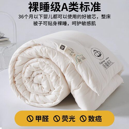 高端A类新疆棉花被全棉加厚保暖冬被被芯宿舍单人空调被四季通用 - 图0