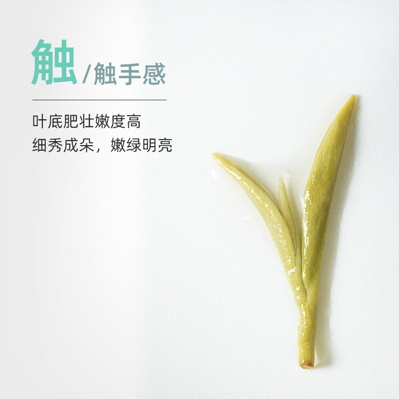 2024新茶卢正浩青白洞庭碧螺春明前特级二等苏州绿茶茶叶礼盒装-图2