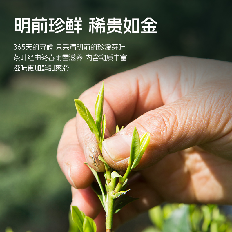 2024年新茶上市卢正浩明前龙井茶叶一级绿茶春茶50克罐装散装茶叶-图1