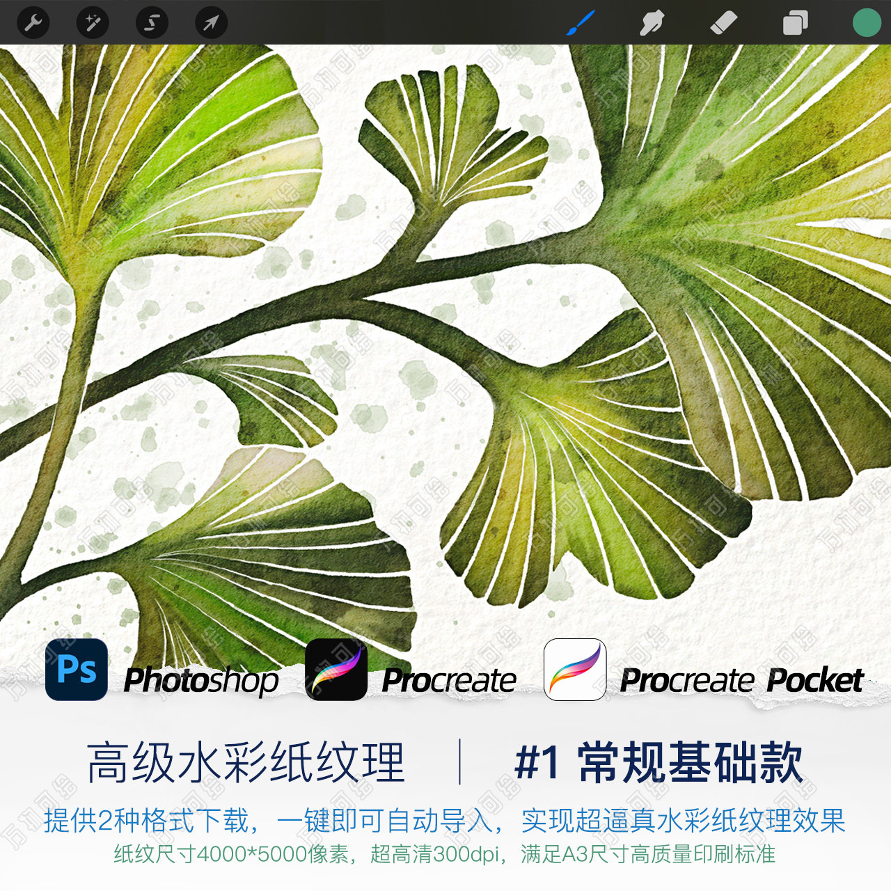 Procreate水彩纸 新人首单立减十元 22年3月 淘宝海外 Procreate水彩纸 新人首单立减十元 22年3月 淘宝海外