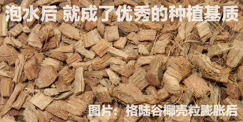 格陆谷 Блок из скорлупы кокоса, средний крупный, кирпич из скорлупы кокоса, воздухопроницаемый, кокосовые отруби, средний, почва для розы, гортензии, почвы для орхидеи, антуриума, дендробиума.