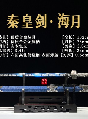 秦皇剑黑曜锰钢古风未开刃宝剑
