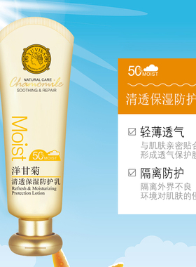 洋甘菊隔离防护乳霜清爽不油腻