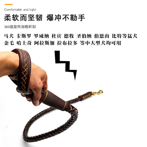 狗狗牵引绳狗绳项圈狗链子中大型犬溜狗绳子拉布拉多金毛宠物用品 - 图0