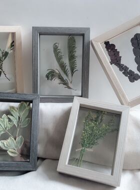 植物标本双面透明实木相框摆件