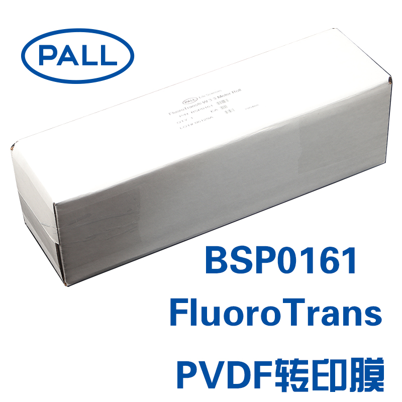 PALL BSP0161 颇尔 FluoroTrans PVDF转印膜0.2um,26cm*3.3m/卷 - 图1