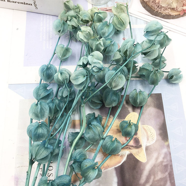 永生花diy情人节材料包灯笼果ins保鲜玫瑰风铃果玻璃罩礼金花盒