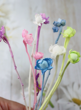 相思梅干花DIY花束永花戒指插花