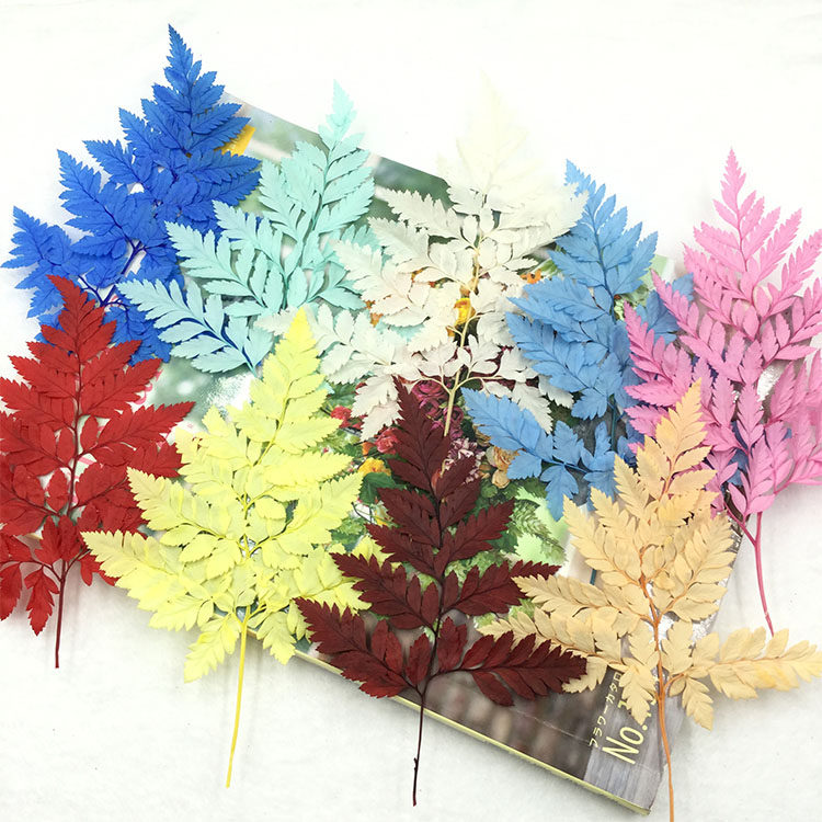 永生花配叶高山羊齿金银彩色蕨叶diy情人节新娘头饰花环车挂材料
