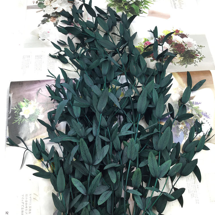 情人节永生花diy手腕花配叶美叶桉尖尤加利竹叶手工制作玻璃罩礼