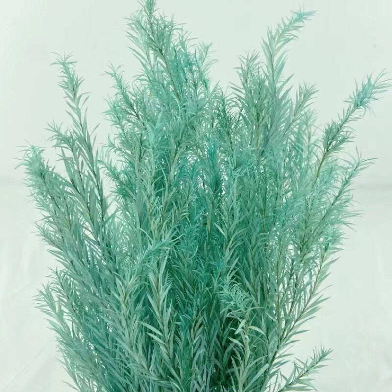 情人节花束礼盒永生花千层金万层叶diy手腕花保鲜玫瑰绿植配叶材