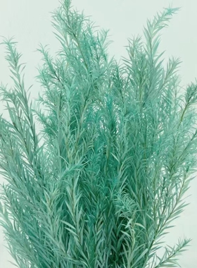 千层叶DIY礼盒手腕花永生花戒指