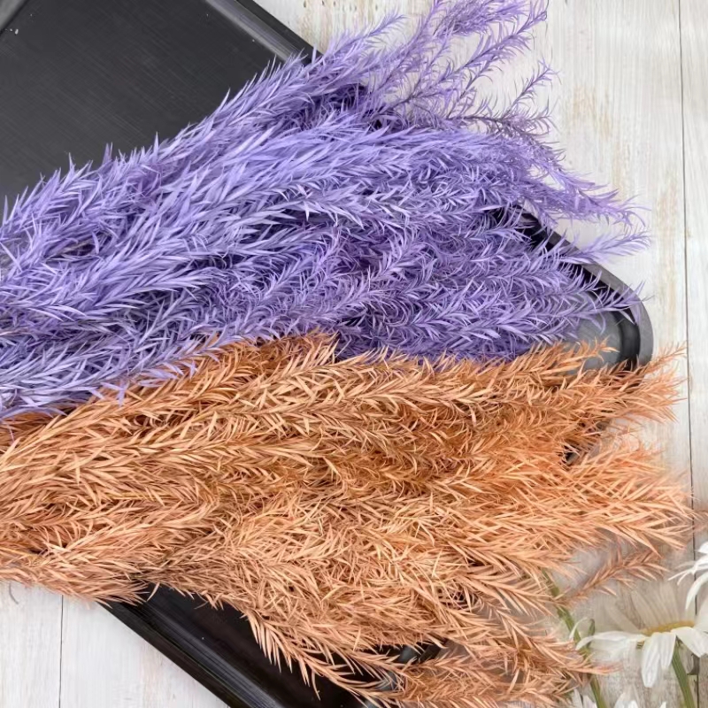 情人节花束礼盒永生花千层金万层叶diy手腕花保鲜玫瑰绿植配叶材