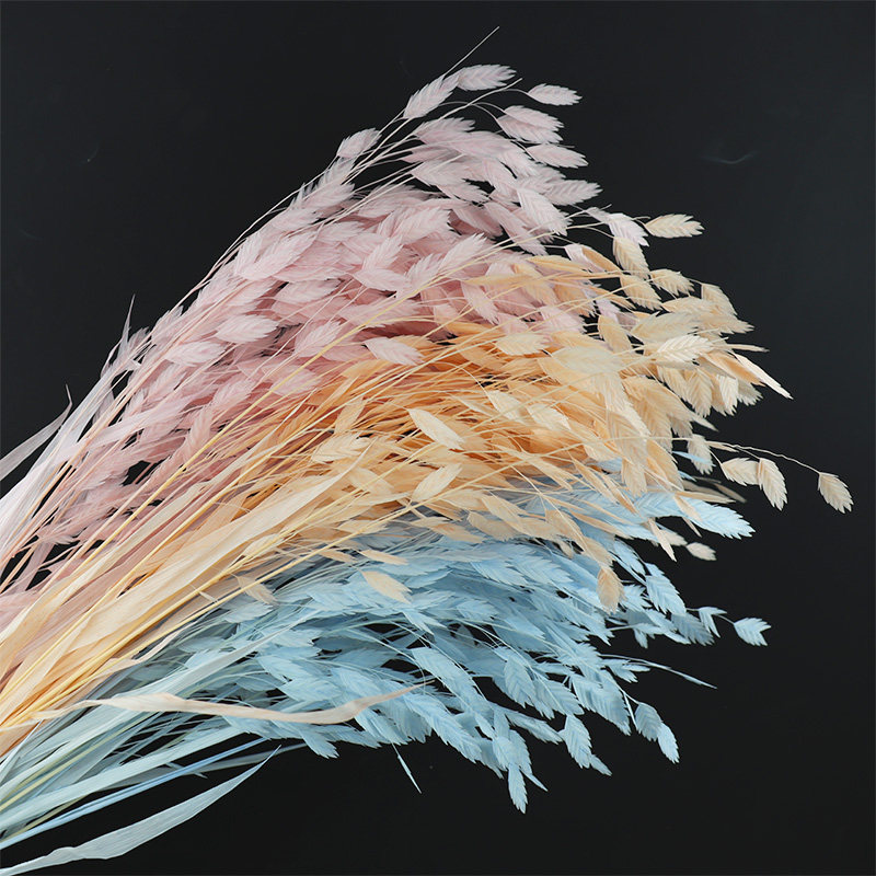 花掌柜diy风动草小清新情人节干花束小盼草保鲜永生花家居装饰钻