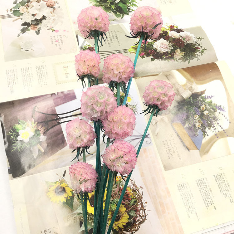 永生花松虫果风车果diy情人节新年花束材料手工车载礼盒配花材