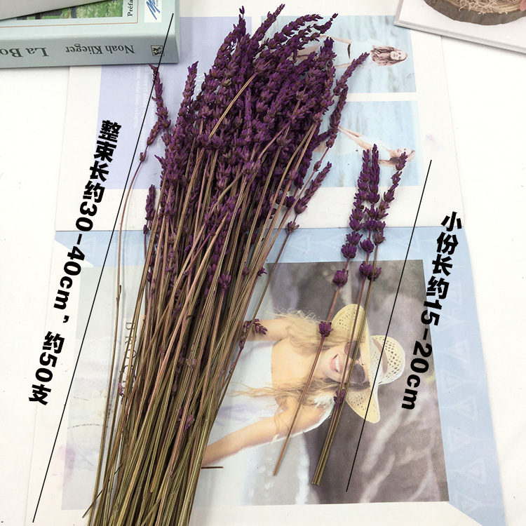 永生花薰衣草3枝装永生花DIY材料玻璃罩花盒配材迷你干花束材料-图3