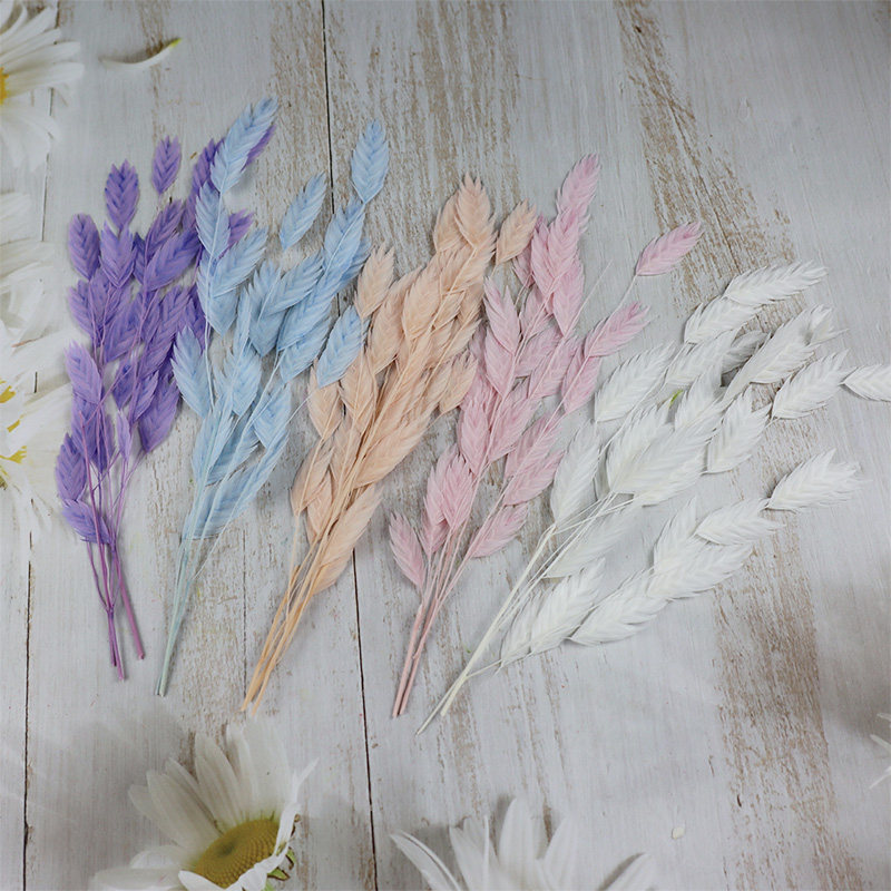 花掌柜diy风动草小清新情人节干花束小盼草保鲜永生花家居装饰钻