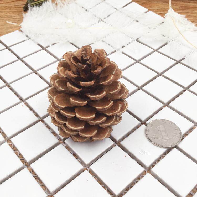 永生花配材天然圣诞松果实干花落叶松DIY情人节现金礼盒手工材料