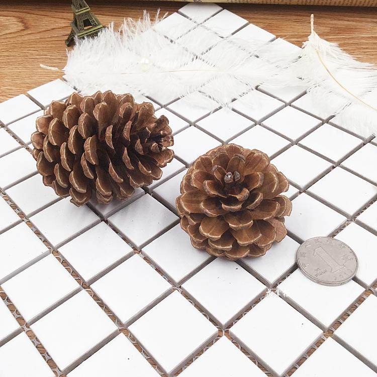 永生花配材天然圣诞松果实干花落叶松DIY情人节现金礼盒手工材料