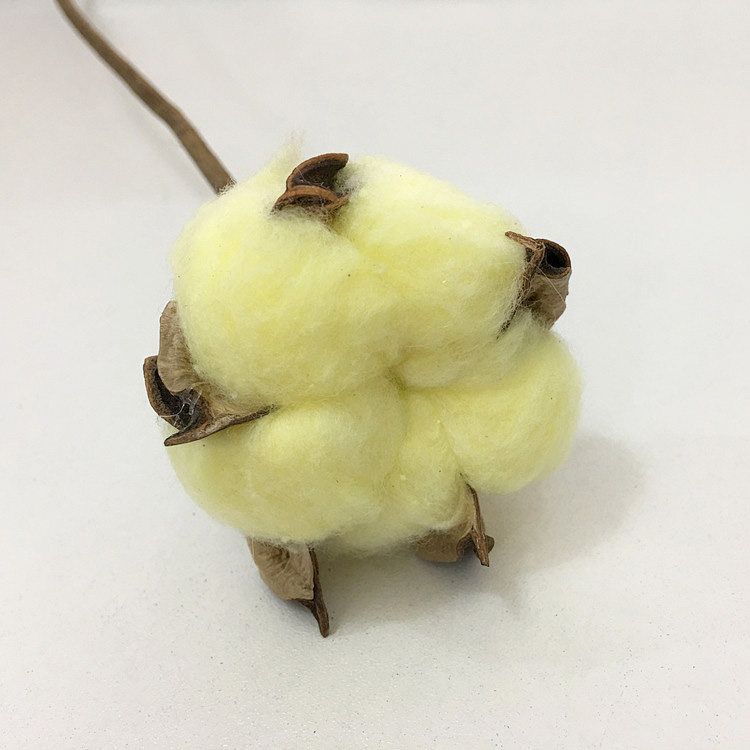 情人节手工彩色棉花干花束永生花礼盒花材DIY车挂材料家居装饰花