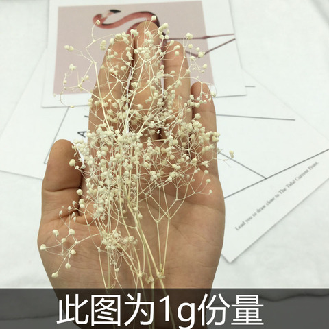 花掌柜永生花diy材料包满天星干花白万星霞草新娘头发饰永生花环