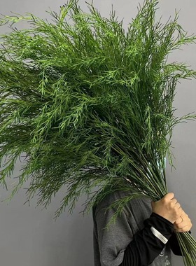 新款野生感墨绿色深绿色森系绿植千层金芦荀草尤加利酒店橱窗