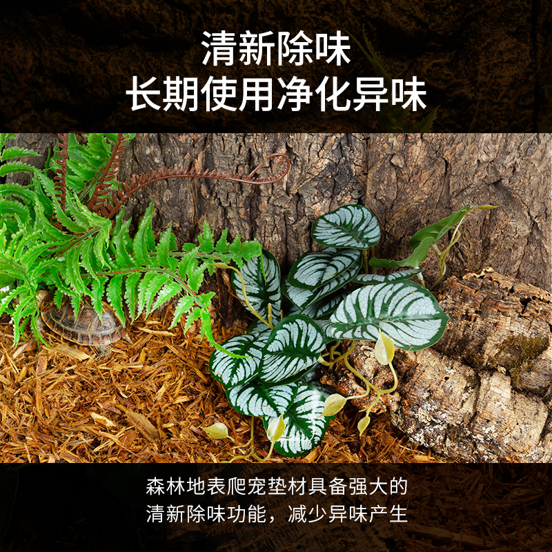 reptizoo爬宠森林地表树皮垫材陆龟蜥蜴守宫蛇爬虫造景除臭保湿 - 图2