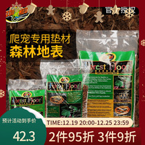 zoomed forest surface reptiles natural sterile land tortoise lizard snake rainforest surface moisturizing bark cushion material to deodorize