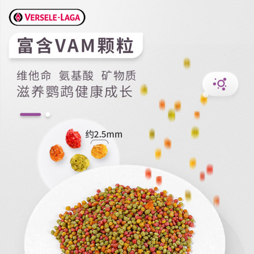 比利时凡赛尔玄凤鹦鹉饲料鸟粮虎皮牡丹鸟食谷子小太阳混合粮1KG - 图1