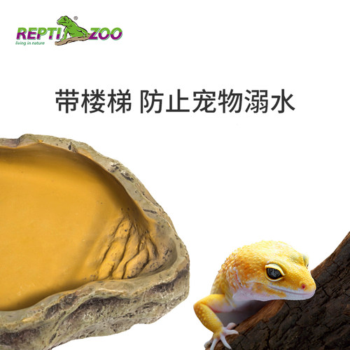 新派宠物REPTIZOO爬宠食盆水盆乌龟守宫角蛙蜥蜴蛇黄缘喂食器 - 图2