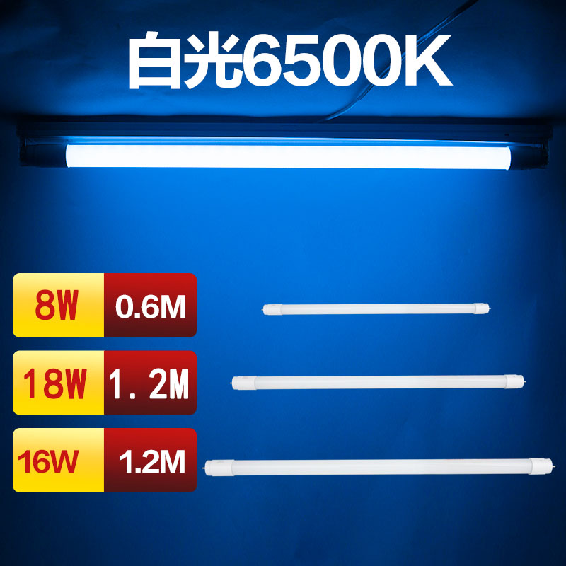 佛山t8led灯管8W0.6米1.2米18W16W日光灯支架长条型双端输入6500K - 图0