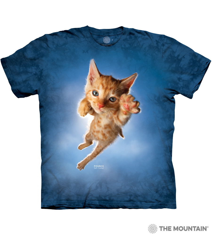 飞翔的猫推荐品牌 新人首单立减十元 21年6月 淘宝海外