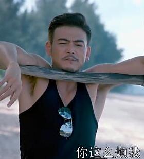 墨镜刘涛旅行太阳眼镜奕凡同款