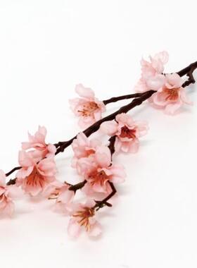 zakka日本和风系列拍摄道具花束