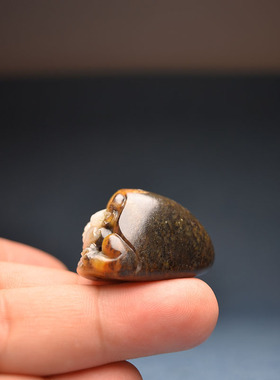 新疆和田玉黑皮黄沁独籽龙龟把件