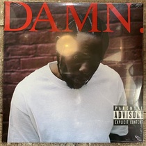 Spot Kendrick Lamar DAMN rap annual album double disc black gel record LP