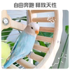 Parrot toys pirate ship swinging swings and self-relieving entertainment bird cage stand peony black phoenix monk tiger skin