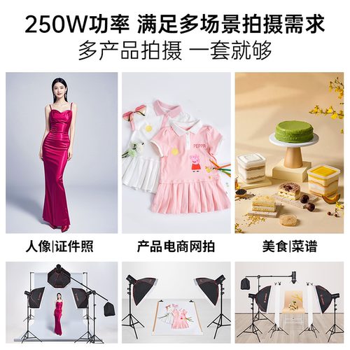 金贝DE250W摄影灯室内闪光灯套装小型影棚证件照肖像照拍摄打光灯人像服装发丝轮廓灯电商产品专用拍照补光灯 - 图3