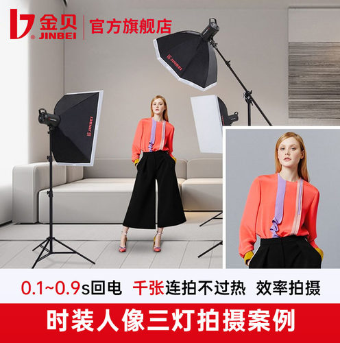 金贝摄影灯DMII400W影室闪光灯摄影棚柔光箱套装室内服装人像广告证照拍照补光灯电商产品影棚拍摄发丝打光灯 - 图2