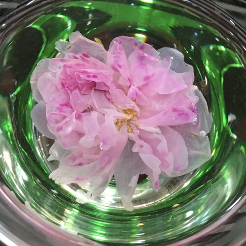 头采平阴玫瑰花冠茶食用重瓣红玫瑰无硫熏不提精油大朵原产地50克 - 图2
