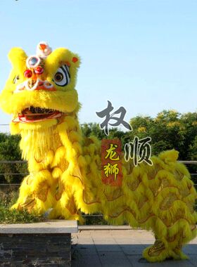 舞狮道具醒狮南狮舞龙舞狮道具龙狮龙灯服装舞狮子灯光儿童狮