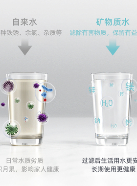立升超滤膜换芯净水器
