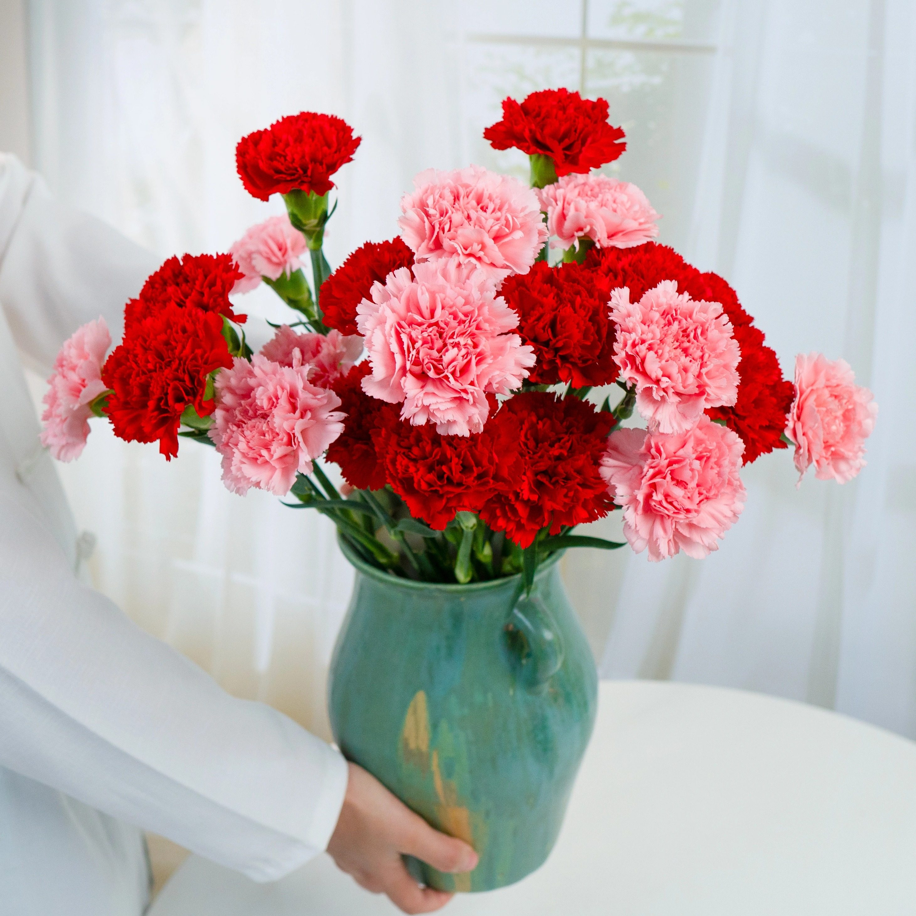 单头红粉康乃馨多头康乃馨鲜切花云南鲜花基地直发家用母亲节花束,淘宝优惠券,粉丝福利购,淘宝优惠卷