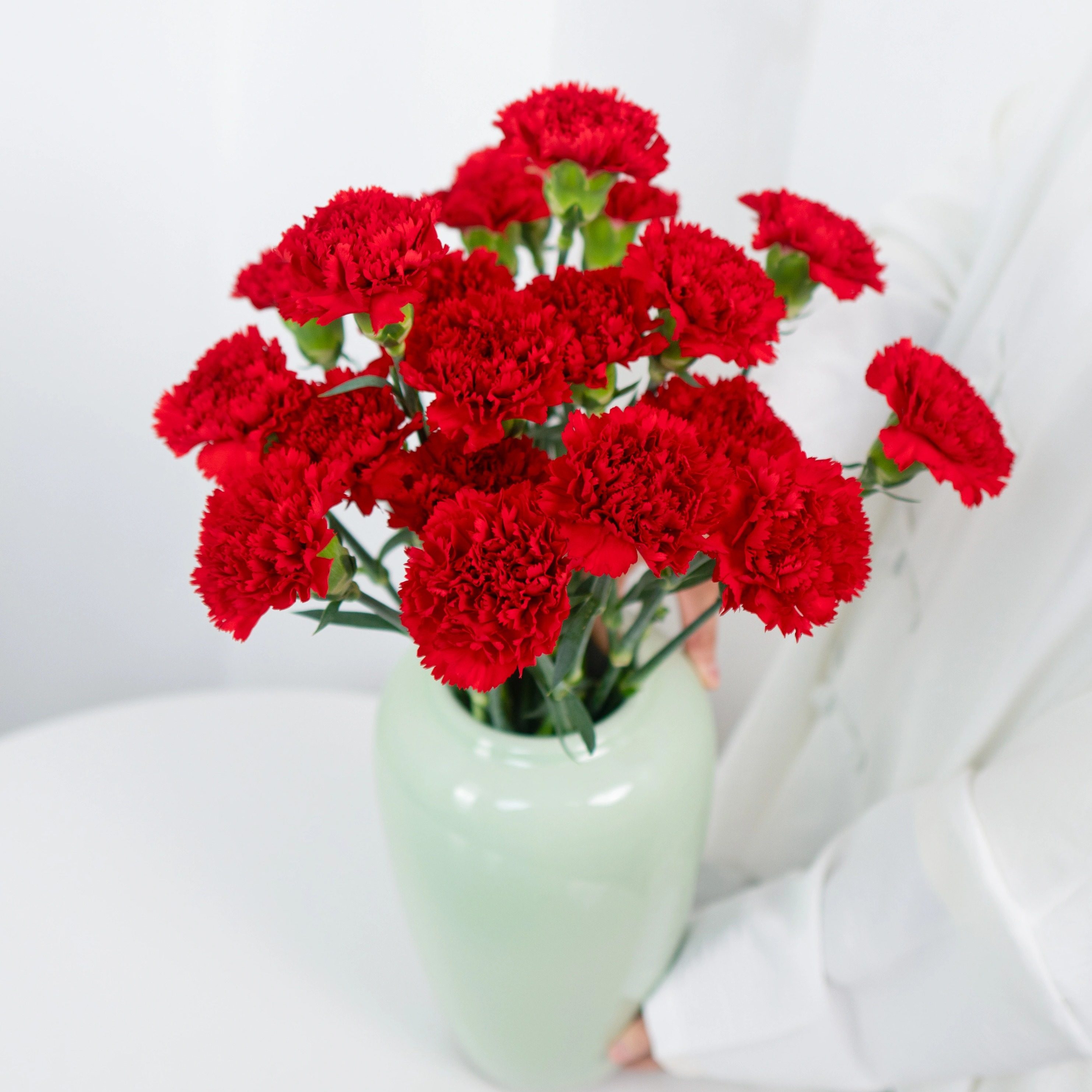 单头红粉康乃馨多头康乃馨鲜切花云南鲜花基地直发家用母亲节花束,淘宝优惠券,粉丝福利购,淘宝优惠卷