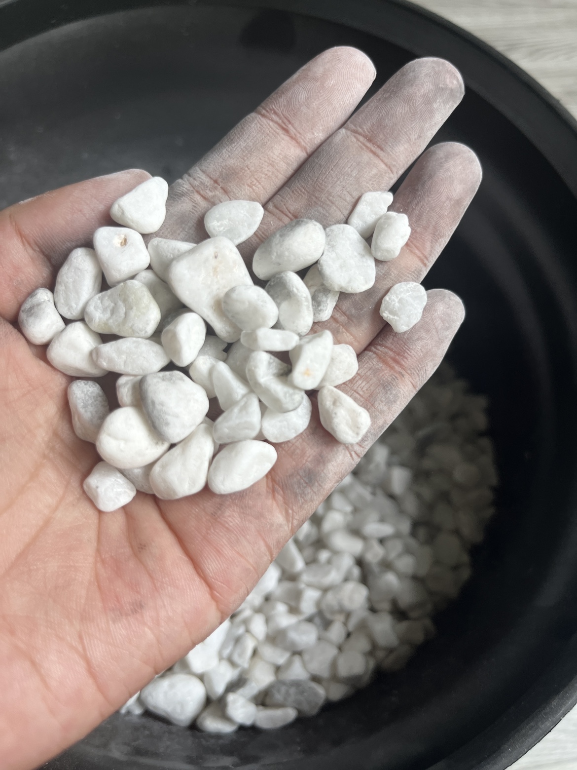 小石头 固定装饰美观 五斤装 - 图1