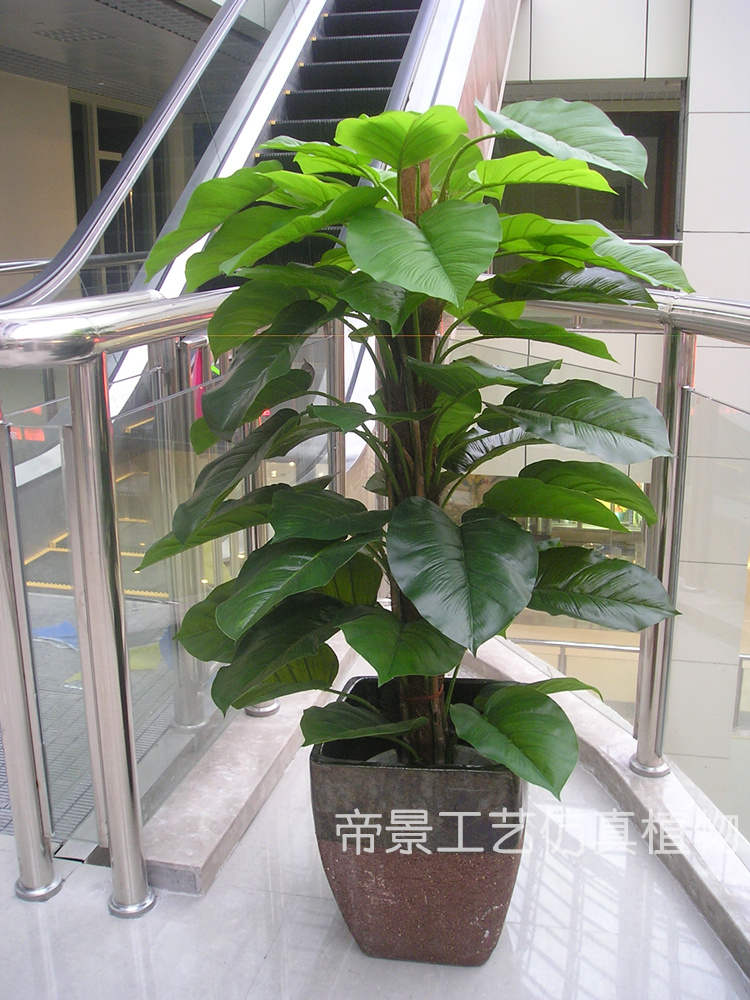 仿真植物假装饰花树单杆包棕胶叶大叶中号绿萝滴水客厅端午礼物-图0