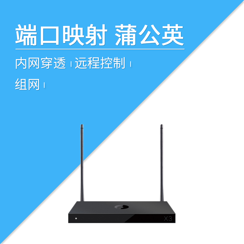 萊特智慧 埠對映神器 花生殼 蒲公英 內嵌花生棒 二代 內網穿透