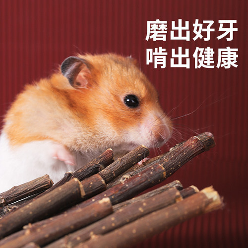 仓鼠磨牙苹果枝磨牙棒苹果木磨牙神器健齿玩具造景金丝熊兔子龙猫 - 图2