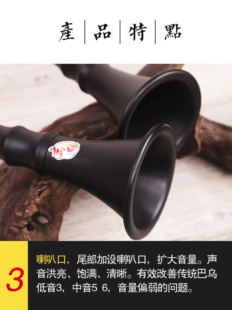 巴乌乐器竖吹成人专业演奏G调F调小学生初学入门大音量单管乐器,淘宝优惠券,粉丝福利购,淘宝优惠卷